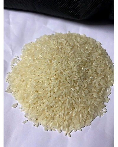SONA MASURI BOILED-5847732