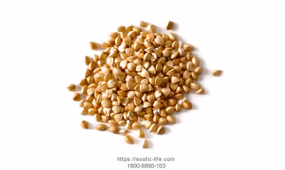BUCK WHEAT