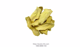 GINGER
