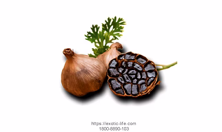 AGED GARLIC (CANDY GARLIC)