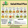 Goolai's Salad Meal Plan