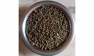 Green Gram(Muga)