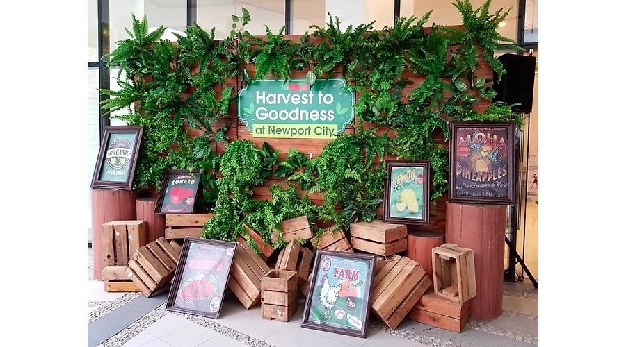 Harvest to Goodness at Newport City