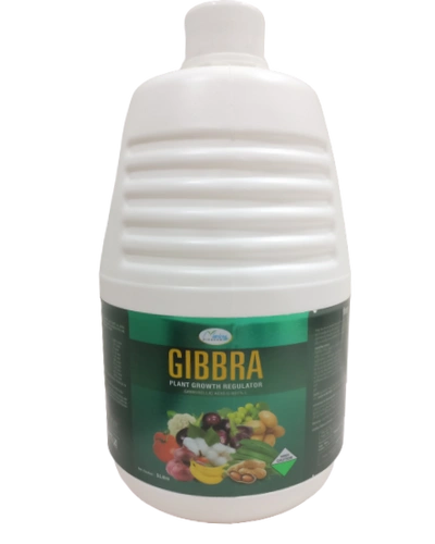 GIBBRA-GB-5000