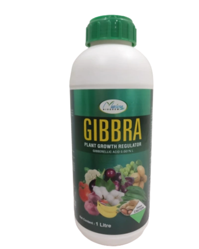 GIBBRA-GB-1000