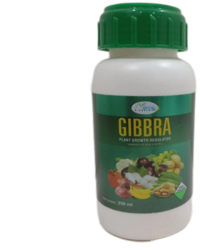 GIBBRA-GB-250