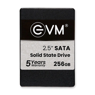 EVM 256GB SOLID STATE DRIVE-EVM256GBSSD