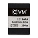 EVM 256GB SOLID STATE DRIVE-EVM256GBSSD-sm
