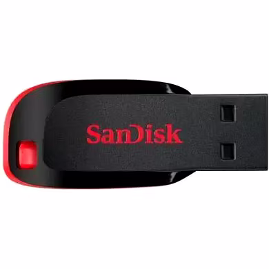 SanDisk Cruzer Blade 64GB USB 2.0 Flash Drive-2