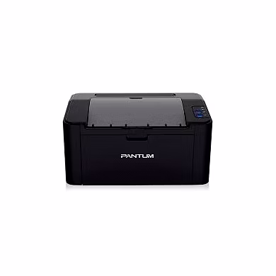 PANTUM PNTM P2512W Black Laser Printer Single Function WiFi Monochrome Laser Printer  (Ink Bottle, 1 Ink Bottle Included)-P2512W