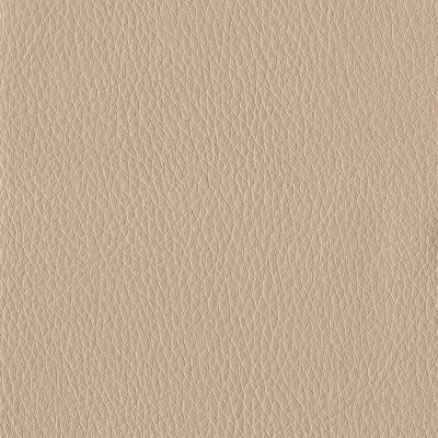 Beige Pvc Synthetic Leather Fabric