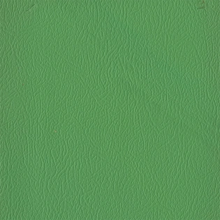 Bt. Green Pvc Synthetic Leather Fabric