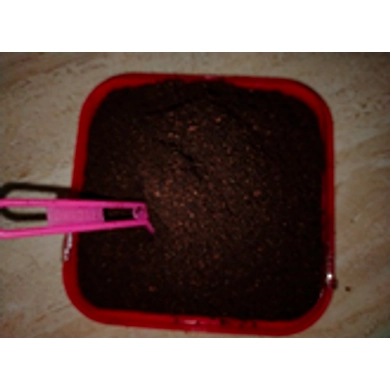 Koraput Coffee-MMKD_764043_KD1112_KPC_1