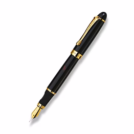 pierre cardin marshal exclusive fountain pen