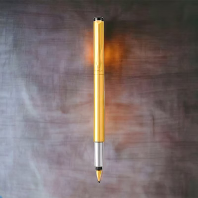 parker vector gold fountain pen with gold trim