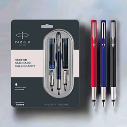 parker vector standard calligraphy fountain pen with steel trim