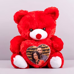 customizable teddy bear with 11x15 photo - pl18