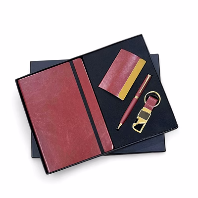 4 in 1 gold series combo set: diary, card holder, pen & keychain