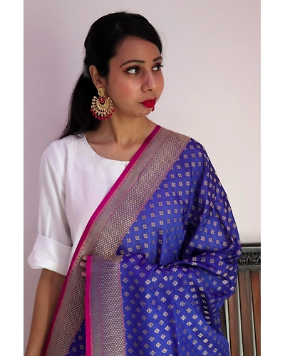 Blue Diamond Booti Cutwork Handloom Banarasi Dupatta-5