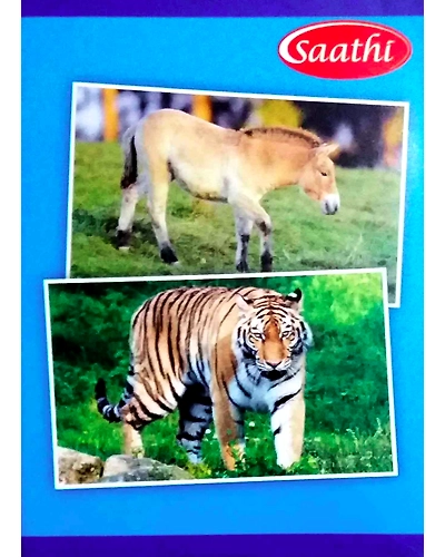Saathi Normal Notebook - Soft Cover, 164 Pages, 24x18cm, Single Line/Ruled (Pack of 6)-NTBK001