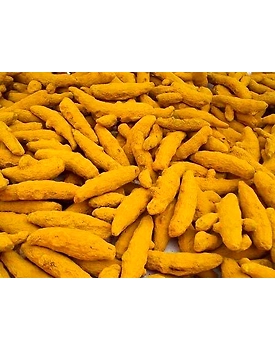 Turmeric