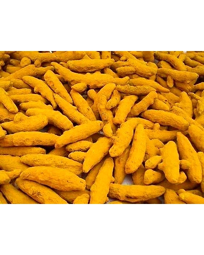 Turmeric-11660718