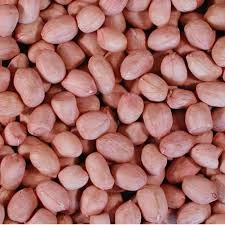 Groundnut ( shing )-Shing-1