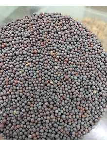 Black Pepper (Kali mirch)