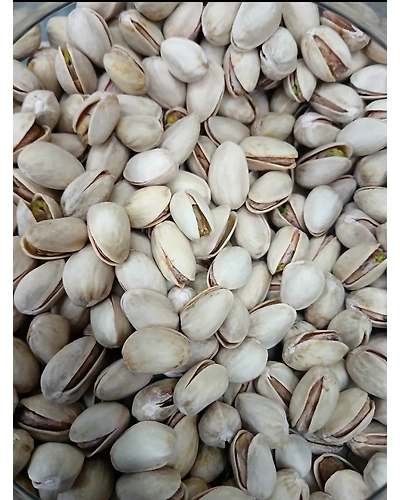 Salted Pista AAA  Jumbo-T25