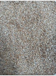 Flax seeds (Alsi)