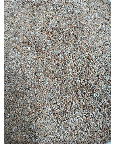 Flax seeds (Alsi)-T29