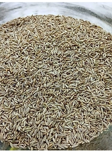 Cumin Seeds (Zeera)