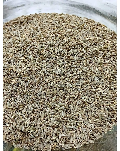 Cumin Seeds (Zeera)-T3