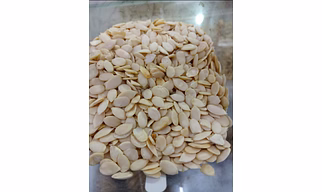 Watermelon seeds (tarbuz )