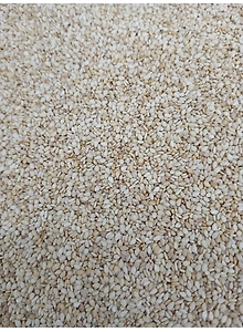 Sesame Seeds (til)