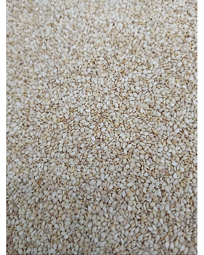 Sesame Seeds (til)-T8