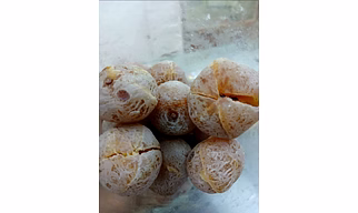 Honey Amla