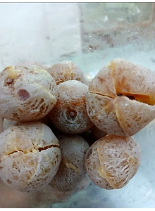 Honey Amla