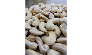 Cashew 320