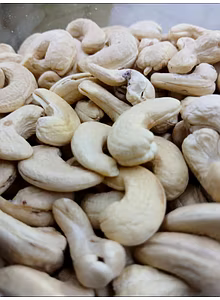 Cashew 320