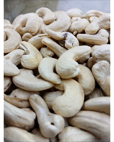 Cashew 320-T14