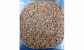 Methi dana