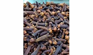 Indian Clove (Laung)