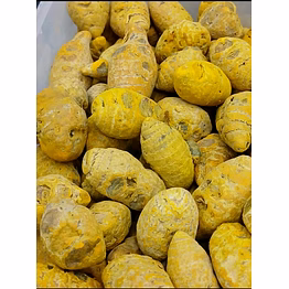tayyibaat moti haldi