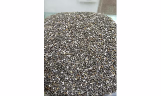 Chia Seeds