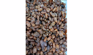 Black Grape raisins regular  (Munaqqa)