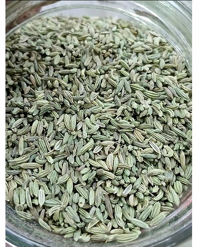 Fennel seeds (moti sounf)-T38