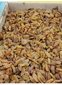 Indian raisins (Kishmish)
