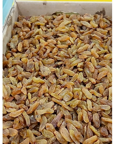 Indian raisins (Kishmish)-T42