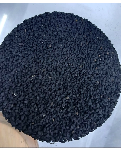 Nigella Seeds(Kalonji)-T30